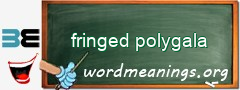 WordMeaning blackboard for fringed polygala